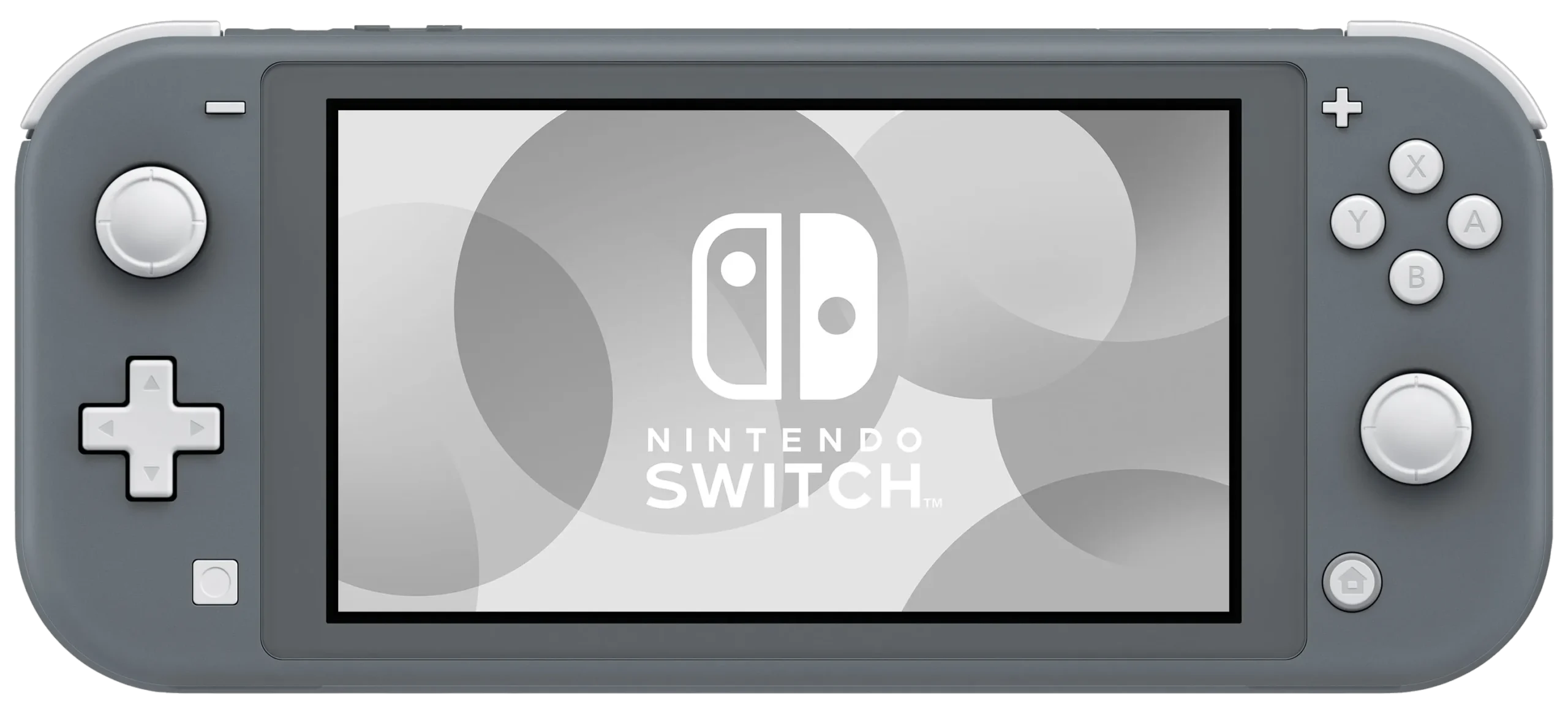 Nintendo Switch Lite Gris